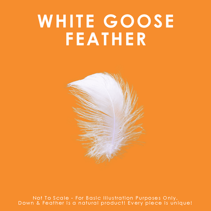 White Goose Feather Cushions