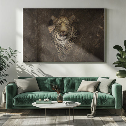 Wall art Leopard Resting on a Tree at Masai Mara