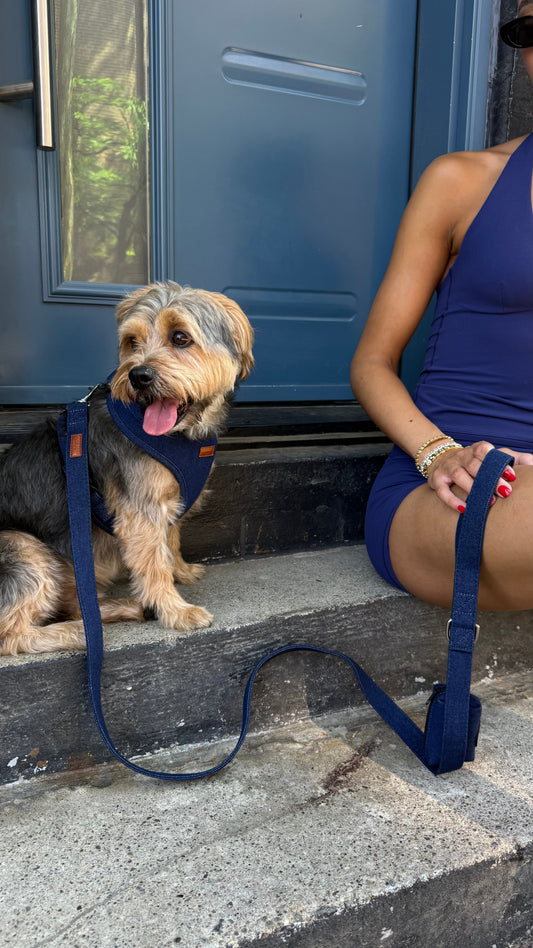Denim Leash