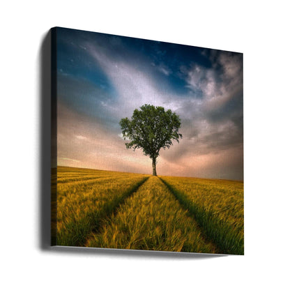 Wall art One