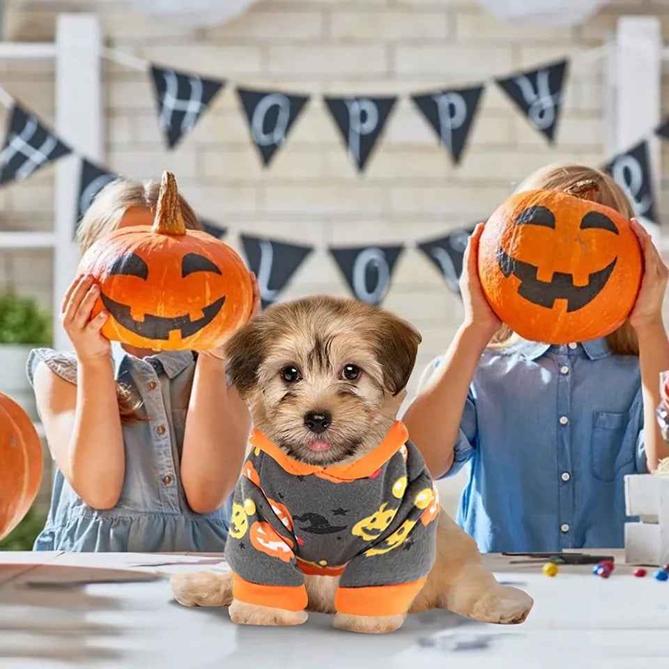 Halloween Dog Sweater – Pumpkin Fall Pet Apparel