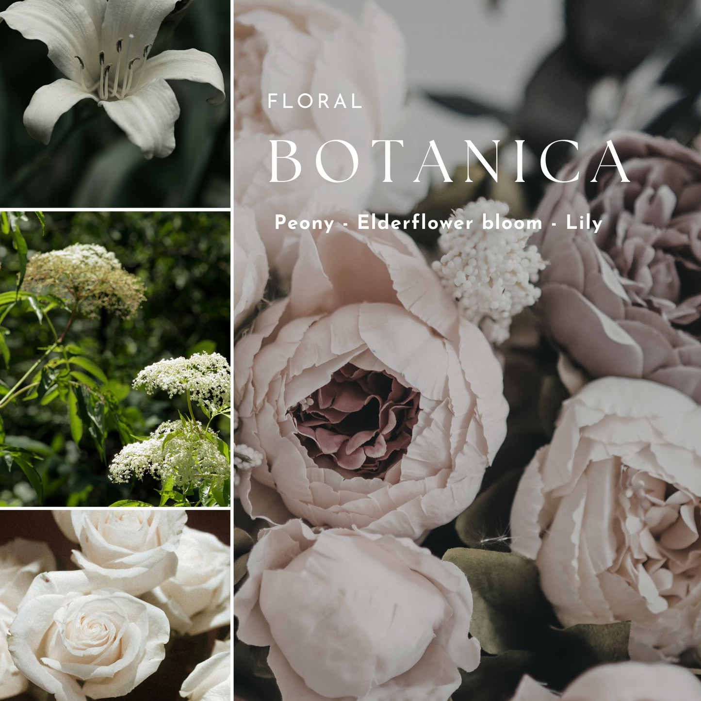 Fresh & Floral Diffuser Oils