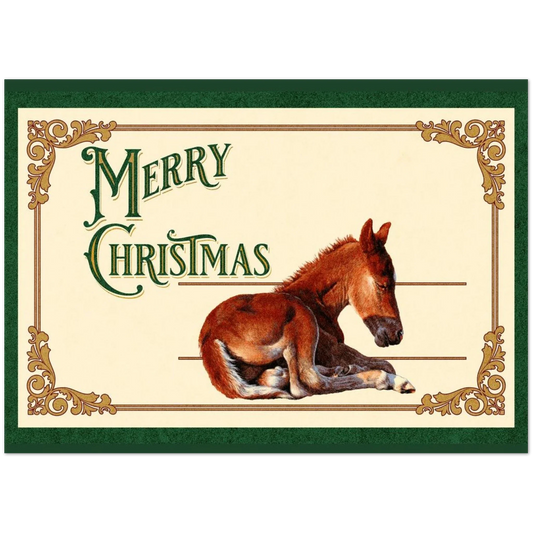 Sleepy Foal Christmas Card – Premium Pack of 10 Greeting Cards
