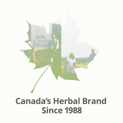 ST FRANCIS HERB FARM Castor Oil (500ml) USDA Certified Organic, Cold Pressed, Hexane-Free, GMO Free, Vegan, Vegetarian, Sealed in Protective Amber Glass (1 Bottle) Hair, Skin, and Nail Care 🍁 All In One Marketplace Canada