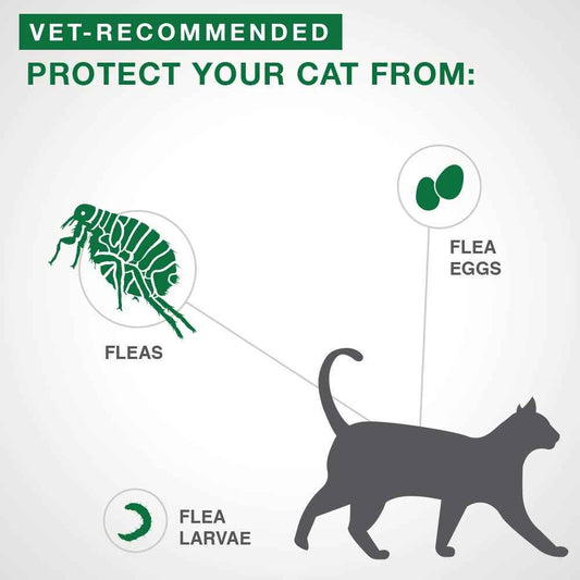 Advantage II Flea Treatment for Small Cats weighing between 2.3 kg to 4 kg (5 lbs. to 9 lbs.)-2 doses 🍁 All In One Marketplace Canada