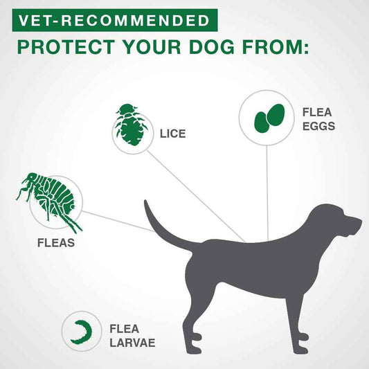 Advantage II - Flea Protection for Small Dogs - Vet Recommended – 2 pack 🍁 All In One Marketplace Canada