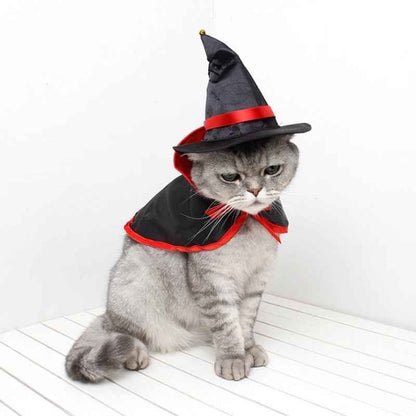 Witch Dog Costume | Halloween Dog Costume