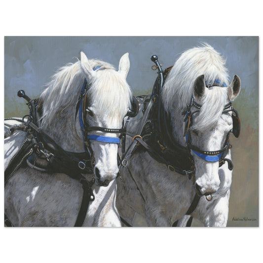 POWER AND GRACE Fine art print