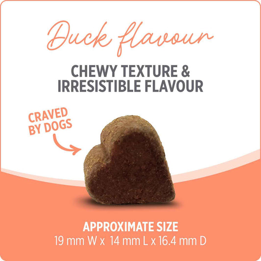Nutrience Care® Probiotic+ Dog Supplement, 100 Soft Chews, 400 g 🍁 All In One Marketplace Canada