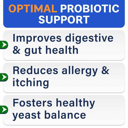 Probiotics for Dogs - Gas, Diarrhea, Allergy, Constipation, Upset Stomach Relief, w/Digestive Enzymes + Prebiotics - Chewable Supplement - Improve Digestion, Immunity - Dog Probiotics Chews - 180Ct 🍁 All In One Marketplace Canada