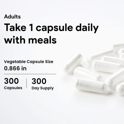 Nutridom NAC 600 mg, 300 Capsules, Canadian-Made N-Acetyl-L-Cysteine Supplement, Non-GMO, Vegan, Gluten Free, Made in Canada 🍁 All In One Marketplace Canada