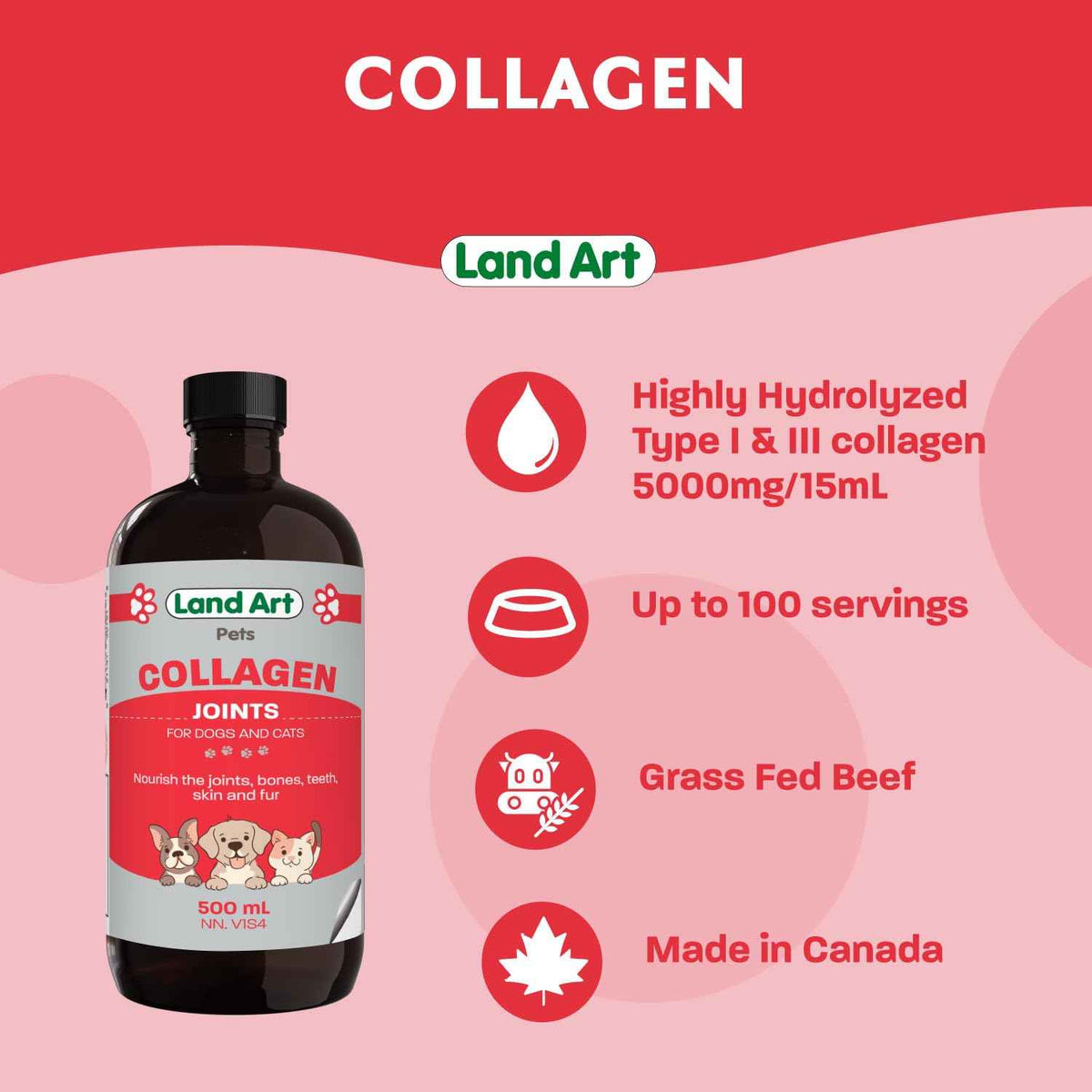 Pet Collagen Supplement - Grass Fed Beef Hydrolyzed - Natural Beef Flavour - Joint Care - Mobility & Health - Gluten, GMO & Sugar Free - for Dog & Cats - Made in Canada - 500ml 🍁 All In One Marketplace Canada