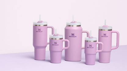 Stanley Quencher H2.0 Tumbler with Handle and Straw 20 oz Flowstate 3-Position Lid Cup Holder Compatible for Travel Insulated Stainless Steel Cup BPA-Free Lilac 🍁 All In One Marketplace Canada
