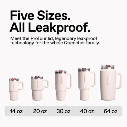 STANLEY Quencher ProTour Flip Straw Tumbler with Leakproof Lid 30 oz | Built-in Straw & Handle | Cupholder Compatible for Travel | Insulated Stainless Steel Cup | BPA-Free | Soft Orchid 🍁 All In One Marketplace Canada