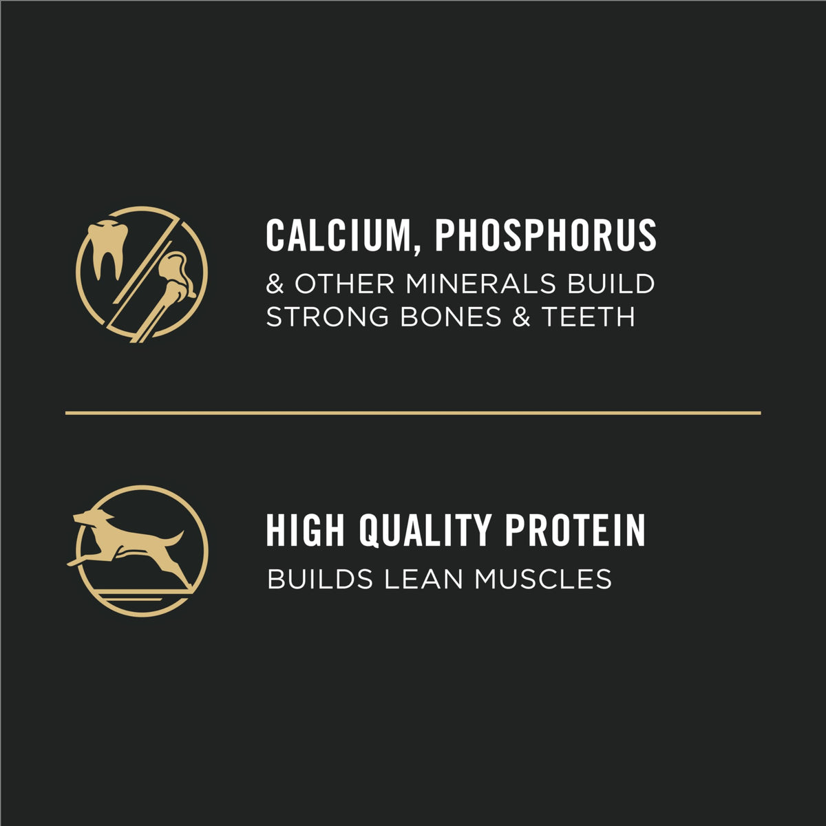 Purina Pro Plan Dry Puppy Food, Development Shredded Blend Chicken & Rice - 15.4 kg Bag (1 Pack) 🍁 All In One Marketplace Canada