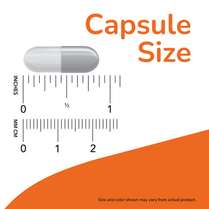 NOW Supplements, Saccharomyces Boulardii, 5 Billion CFU Probiotic, 60 Veg Capsules 🍁 All In One Marketplace Canada