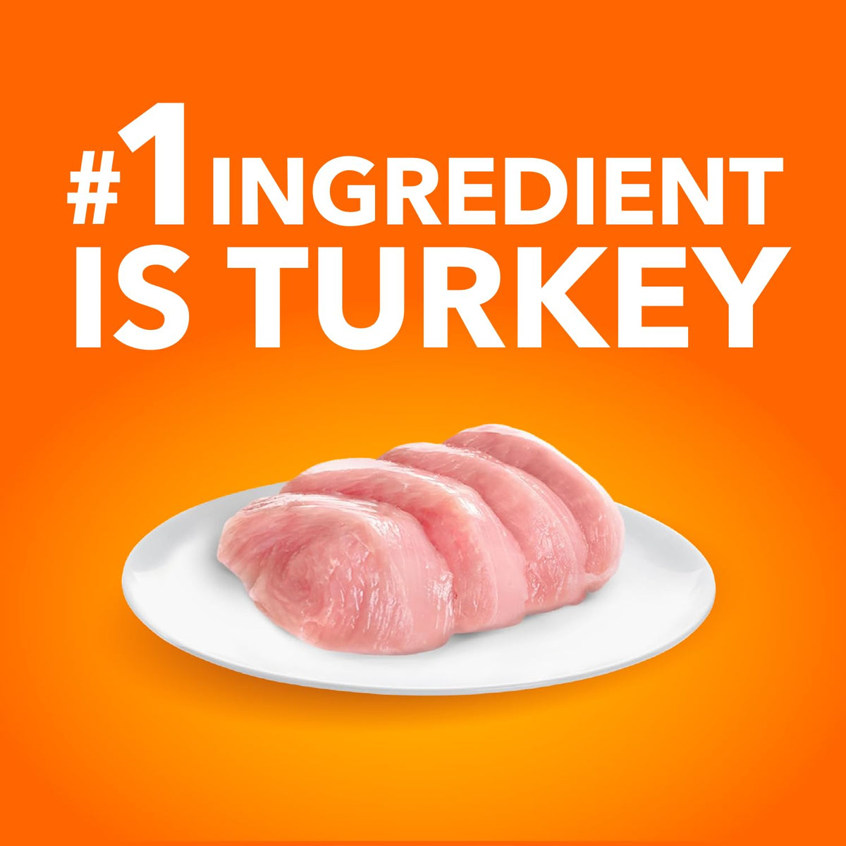 IAMS Proactive Health Sensitive Digestion & Skin Adult Dry Cat Food – Turkey – 2.72KG (5.9LB) Bag 🍁 All In One Marketplace Canada