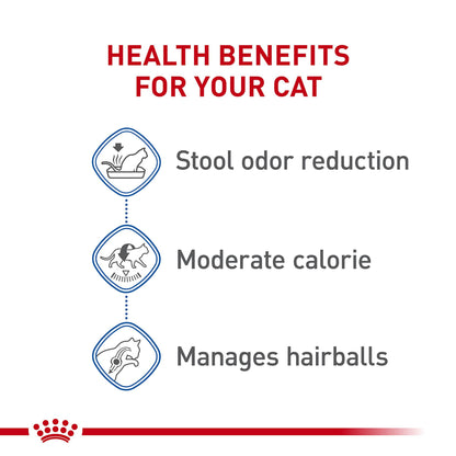 Royal Canin Feline Health Nutrition Dry Indoor Cat Food, Supports Healthy Weight, Digestive Health and Hairball Management, 3 lb Bag 🍁 All In One Marketplace Canada