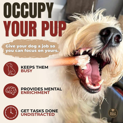 Bully Bunches Premium (6" Standard - 20 Pack) Odour-Free, Consistently Sized Bully Sticks for Medium Dogs - Long Lasting Oral Care Chews - All Natural Fully Digestible Beef Treat, No Rawhide 🍁 All In One Marketplace Canada