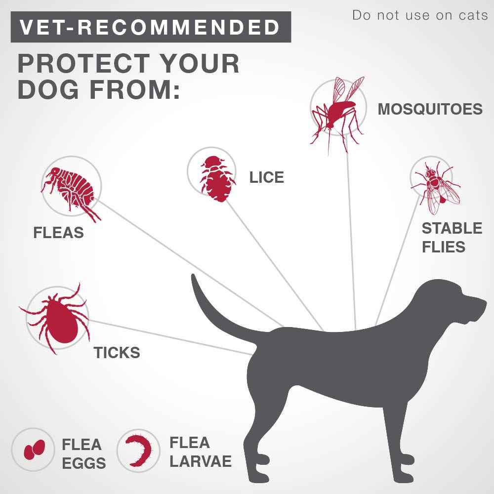 K9 Advantix II Flea and Tick Treatment for Extra Large Dogs weighing over 25 kg (over 55 lbs.)-4 doses 🍁 All In One Marketplace Canada