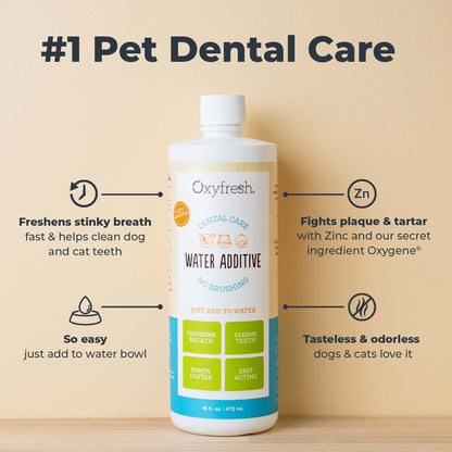 Oxyfresh Premium Pet Dental Care Solution Pet Water Additive: Best Way to Eliminate Bad Dog Breath and Cat Bad Breath - Fights Tartar & Plaque - So Easy, Just Add to Water! Vet Recommended 16 oz. 🍁 All In One Marketplace Canada