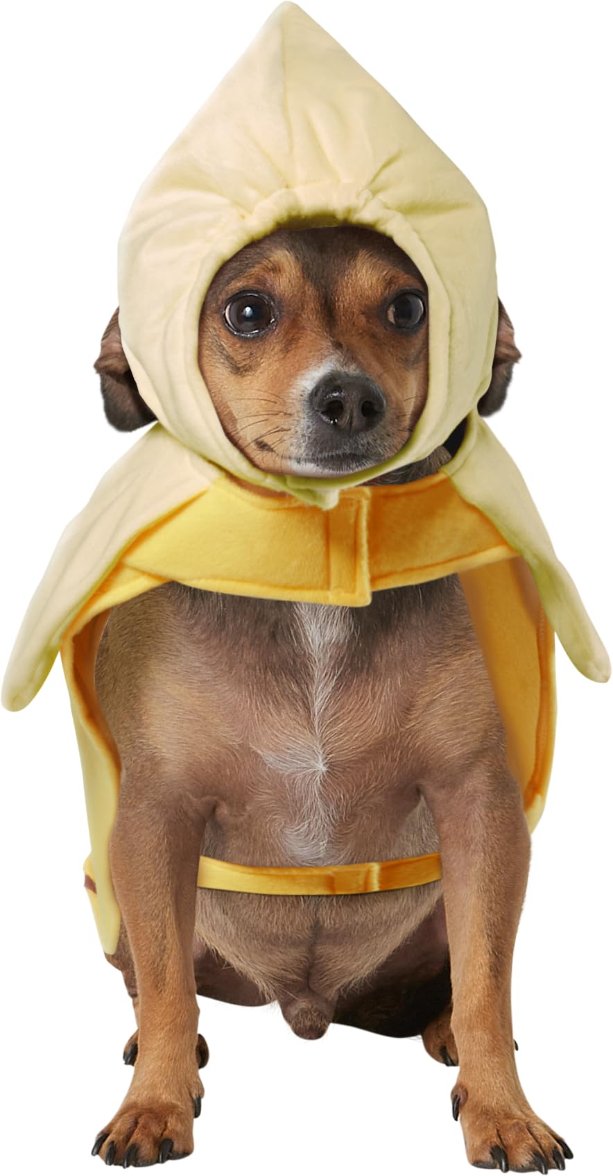 Rubies Costume Co Halloween Classics Collection Pet Costume, Small, Banana