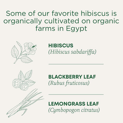 Traditional Medicinals - Organic Hibiscus Herbal Tea (Pack of 6) - Fair Trade Ingredients - Tart, Tangy and Fruity - 96 Tea Bags Total 🍁 All In One Marketplace Canada