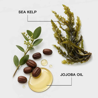 Joico Moisture Recovery Shampoo or Conditioner for Dry Hair, Thick Coarse Hair, Moisturizing Shampoo or Conditioner for Dry Damaged Hair with Keratin 🍁 All In One Marketplace Canada