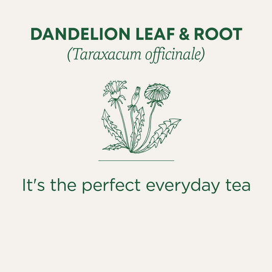 Traditional Medicinals - Organic Dandelion Leaf and Root Herbal Tea (Pack of 6) - 96 Tea Bags Total 🍁 All In One Marketplace Canada