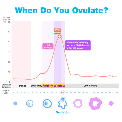 Easy@Home 100 Ovulation & 20 Pregnancy Test Strips Kit: Accurate Fertility Tests - Powered by Premom App OPK | 100 LH + 20 HCG 🍁 All In One Marketplace Canada