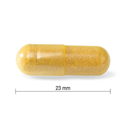Jamieson Turmeric 4,000 mg, with Black Pepper, 60 Vegetarian Capsules, Natural Joint Pain Relief, Supports Inflammation, Helps with Digestion. High Absorption, Non-GMO, Proudly Canadian 🍁 All In One Marketplace Canada