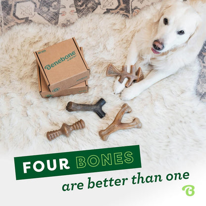 Benebone 4-Pack Durable Dog Chew Toys for Aggressive Chewers, Real Flavors, Made in USA, Medium 🍁 All In One Marketplace Canada