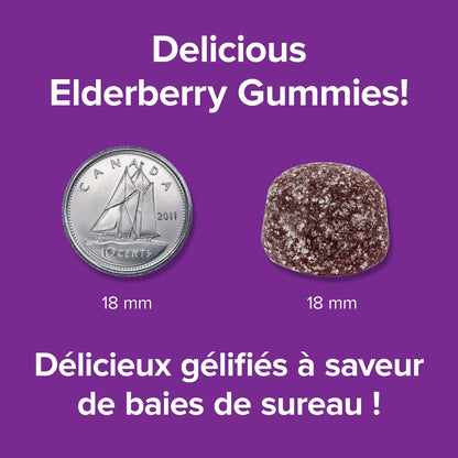 Webber Naturals Collagen30 Anti-Wrinkle Gummy, 2,500mg of Bioactive Collagen Peptides Per Serving, 110 Gummies, Helps Reduce Deep Wrinkles, Fine Lines & Stimulates Skin Cells 🍁 All In One Marketplace Canada