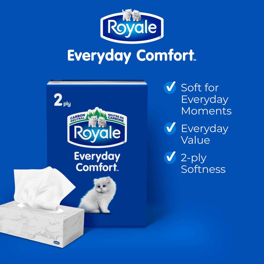 Royale Everyday Comfort 2 Ply Facial Tissue, 24 Tissue Boxes, 100 Tissues per Box 🍁 All In One Marketplace Canada