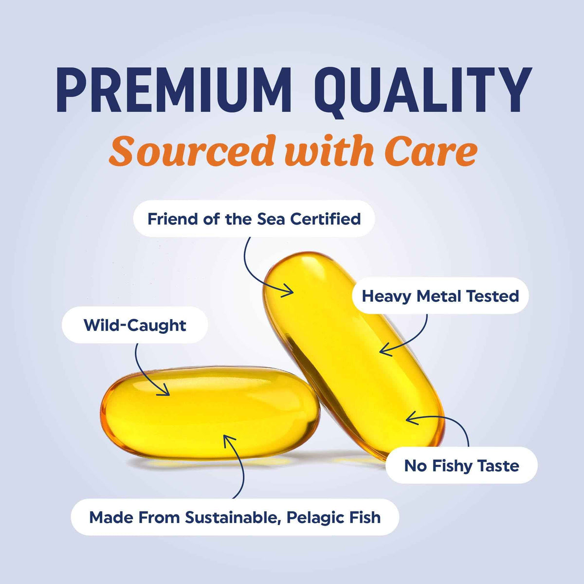 Triple Strength Omega 3 Fish Oil 1200 mg | EPA & DHA | Wild Caught, Sustainably Sourced Omega-3 Fatty Acids | Premium Burpless Fish Oil Supplements | Clean Label Certified, Third-Party Tested | 30 Ct 🍁 All In One Marketplace Canada