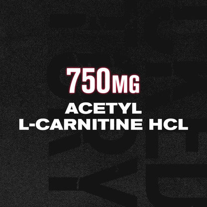 Acetyl L Carnitine Supplement 750mg - Extra Strength L-Carnitine (ALCAR) for Energy, Mood Improvement, Memory & More - 120 Capsules 🍁 All In One Marketplace Canada