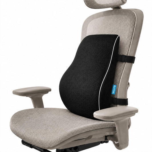 QUTOOL Lumbar Support Pillow for Office Chair, High-Density Memory Foam Back Cushion with Dual Adjustable Straps, Breathable 3D Mesh Cover, Ergonomic Back Support for Everyday Sitting 🍁 All In One Marketplace Canada