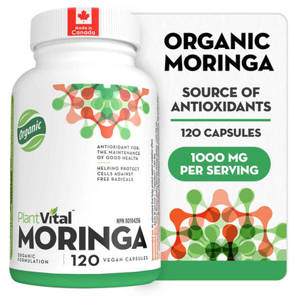 PlantVital Organic Moringa Leaf Capsules - Made in Canada - 1000mg High Potency (500mg per cap) Moringa Pure Capsules for Antioxidant, and Eye Health - Vegan, Non-GMO, Gluten Free (120 Count, 60 Days) 🍁 All In One Marketplace Canada