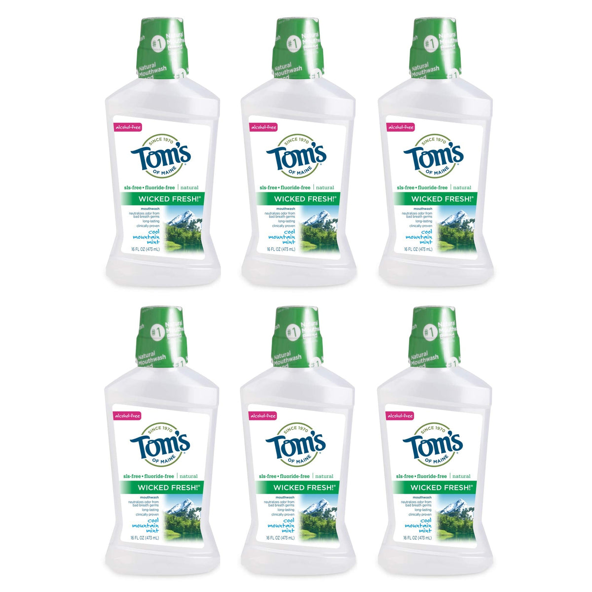 Tom's of Maine Wicked Fresh! Natural Fluoride Free Mouthwash, Cool Mountain Mint, 473ml, 6 pack 🍁 All In One Marketplace Canada