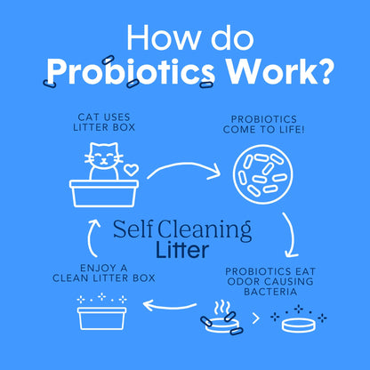 Boxie® Probiotic 40 Day Natural Odor Control Cat Litter, 28lb Clumping Clay Kitty Litter 🍁 All In One Marketplace Canada