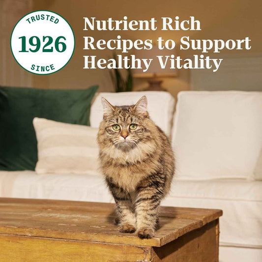Nutro Wholesome Essentials Adult Dry Cat Food, Chicken Flavour, 1.36kg 🍁 All In One Marketplace Canada