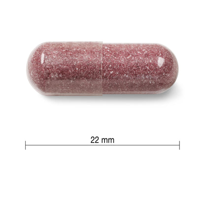 Jamieson Cranberry Complex, with 450 mg Cranberry Extract and 50 mg D-Mannose, Antioxidant, Max Concentrate, and Protects Against Urinary Tract Infections. Non-GMO, Gluten-Free, 100 Vegetarian Capsules 🍁 All In One Marketplace Canada