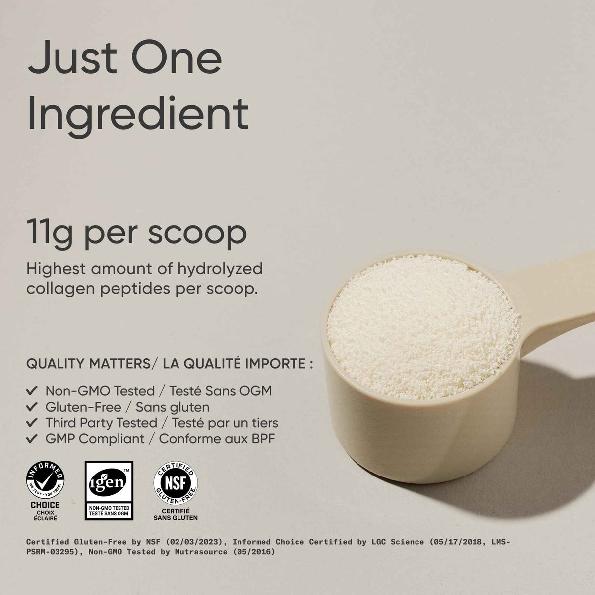 Sports Research® Premium Collagen Peptides Powder (32oz Jar) | Grass-Fed, Certified Paleo Friendly, Non-GMO and Gluten Free - Unflavored and Easy to Mix 🍁 All In One Marketplace Canada
