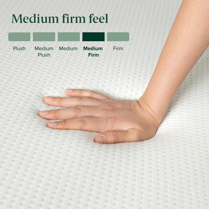 Zinus Twin Mattress - 6 Inch Green Tea Infused Memory Foam Mattress, Mattress in a Box, CertiPUR-US Certified Foam with Pressure Relief, 10-Year Warranty, Twin Size 🍁 All In One Marketplace Canada