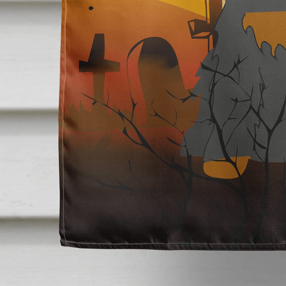 Caroline's Treasures BB4359CHF Halloween Cocker Spaniel Black Tan Flag Canvas House Size, Large, Multicolor