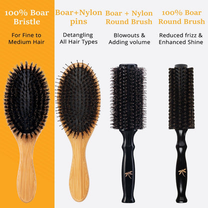 Belula 100% Boar Bristle Hair Brush Set (Medium). Soft Natural Bristles for Thin and Fine Hair. Restore Shine And Texture. Wooden Comb, Travel Bag and Spa Headband Included! 🍁 All In One Marketplace Canada