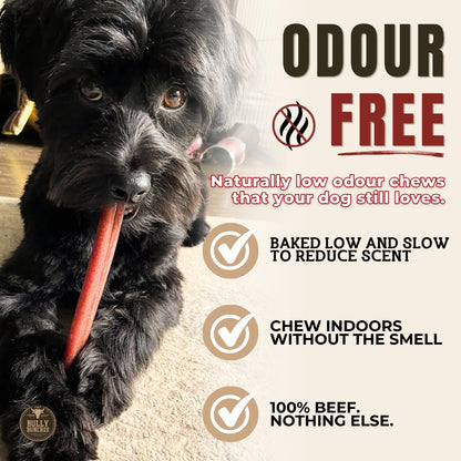 Bully Bunches Premium (6" Standard - 20 Pack) Odour-Free, Consistently Sized Bully Sticks for Medium Dogs - Long Lasting Oral Care Chews - All Natural Fully Digestible Beef Treat, No Rawhide 🍁 All In One Marketplace Canada