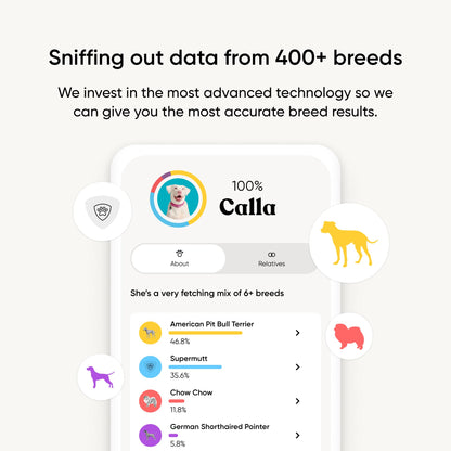 Embark Breed Identification Kit Most Accurate Dog DNA Test Test 350+ Dog Breeds Breed ID Kit with Ancestry & Family Tree 🍁 All In One Marketplace Canada