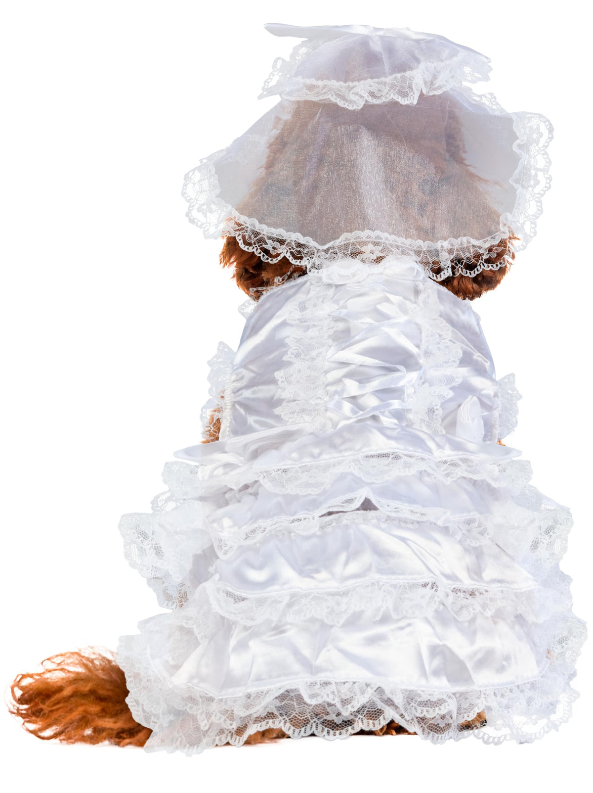 Rubies Costume Co Halloween Classics Collection Pet Costume, Medium, Bride