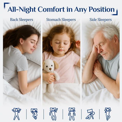 JOLLYVOGUE Pillows Standard Size 2 Pack for Sleeping, Soft and Supportive Bed Pillow for Side and Back Sleepers, Down Alternative Hotel Collection Pillows Set of 2 🍁 All In One Marketplace Canada